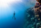 a person swimming in the ocean near a coral reef