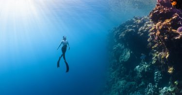 a person swimming in the ocean near a coral reef